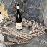 Photo taken by Adria Y