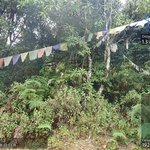 Photo taken by Katherine J