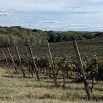 Photo taken by Julie G