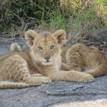 Photo taken by Kristin M