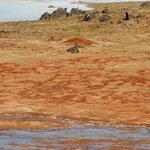 Photo taken by Tim Z