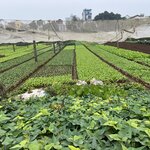 Photo taken by Anil C