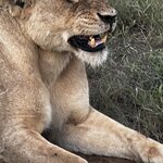 Photo taken by Crystall P