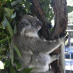 Photo taken by Linnaea M