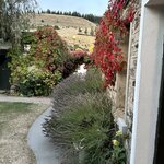 Photo taken by Lisa S