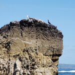 Photo taken by Diane H