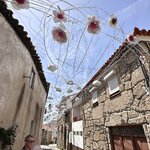 Photo taken by Lynn R