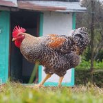 Photo taken by Susan H