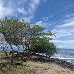 Photo taken by mimi s