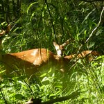 Photo taken by Linette B