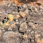 Photo taken by Marur Dev D