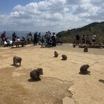 Photo taken by Caz J