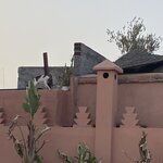 Photo taken by Leanne R