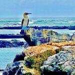 Photo taken by Katherine A