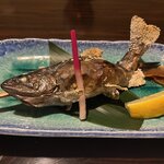 Photo taken by Carol M