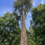 Photo taken by Marcos M