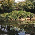 Photo taken by marianne d