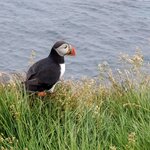 Photo taken by Christina L