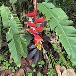 Photo taken by Morton A