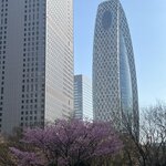 Photo taken by Kirti P