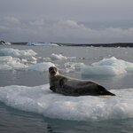 Photo taken by Mark Z