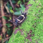 Photo taken by Dawne D