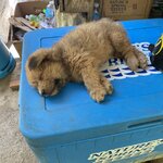 Photo taken by marisa s