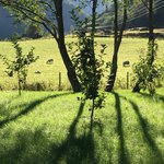 Photo taken by Sharon S