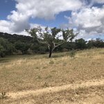 Photo taken by Russ K