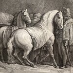 Photo taken by Linda B