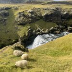 Photo taken by Janice R