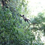 Photo taken by Stephen s