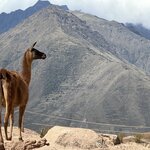 Photo taken by Gerald L