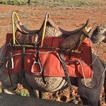 Photo taken by Dan J