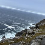 Photo taken by Danielle P