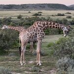 Photo taken by Martin D