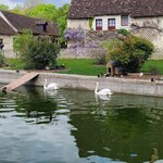 Photo taken by Audrey F