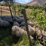 Photo taken by Colleen B