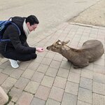 Photo taken by Hanna W