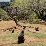 Photo taken by Marianne O