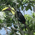 Photo taken by Joyce C