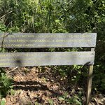 Photo taken by Bert B