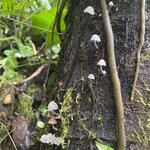 Photo taken by Keyla A