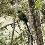 Photo taken by Saba D