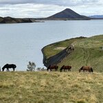 Photo taken by Janet M