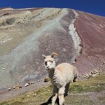 Photo taken by Mariah M