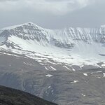 Photo taken by Tom B