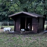 Photo taken by Jon A