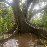 Photo taken by Kim L