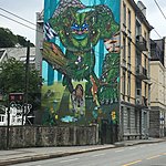 Photo taken by Katie D